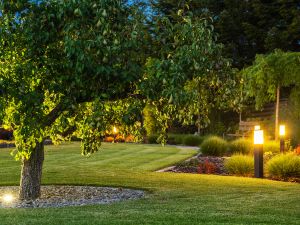 Backyard LED Lighting Solutions