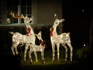 Can your lights illuminate driveways safely at night?