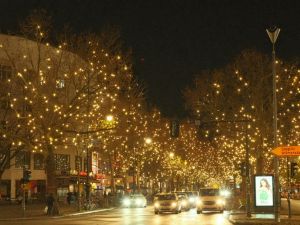 Outdoor Lighting for Driveways and Paths