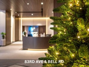 Pink and Blue Holiday Lighting Installations